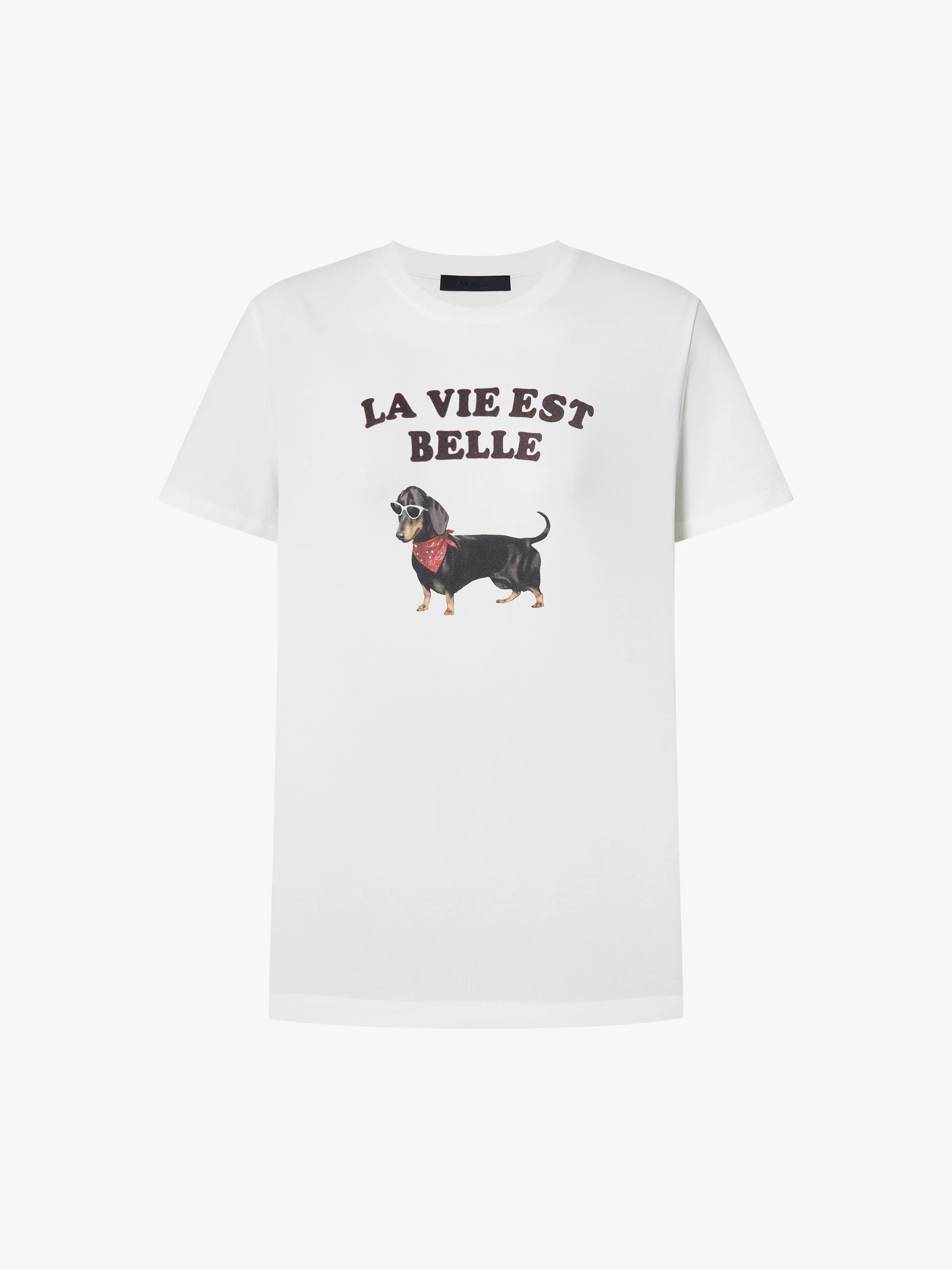 Cute Pet Print Cotton T-Shirt - Image 5