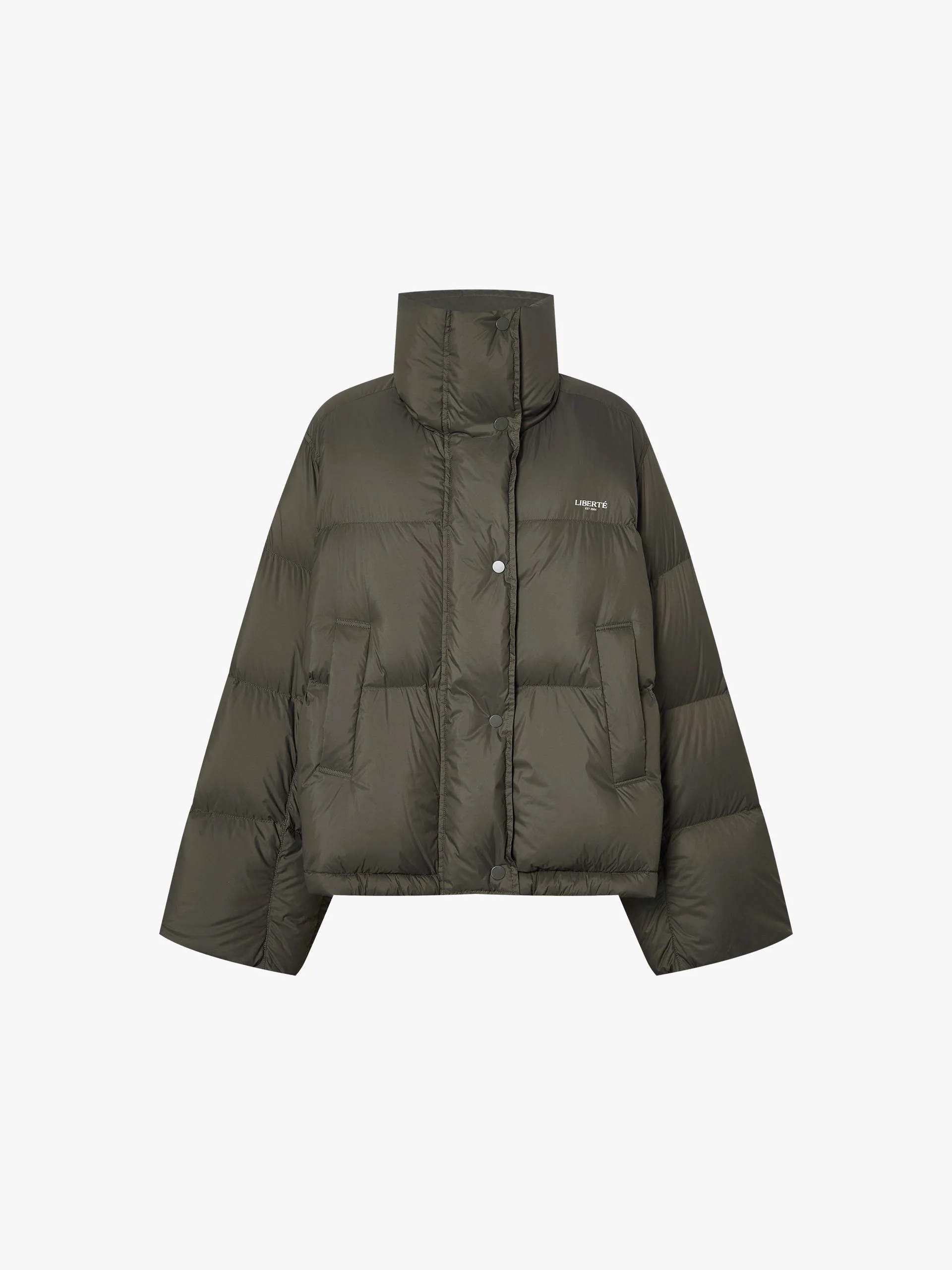 Puffy Goose Down Jacket - Image 13